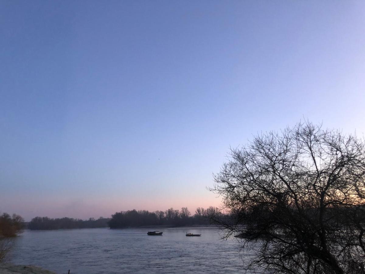 Hotel De La Loire Saint-Satur المظهر الخارجي الصورة